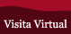 Visita Virtual